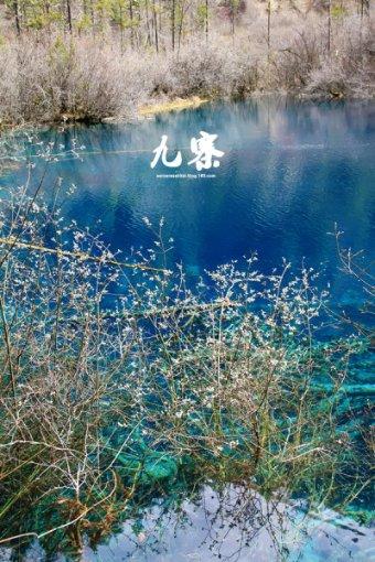 皇帝成长计划2 马秀英
